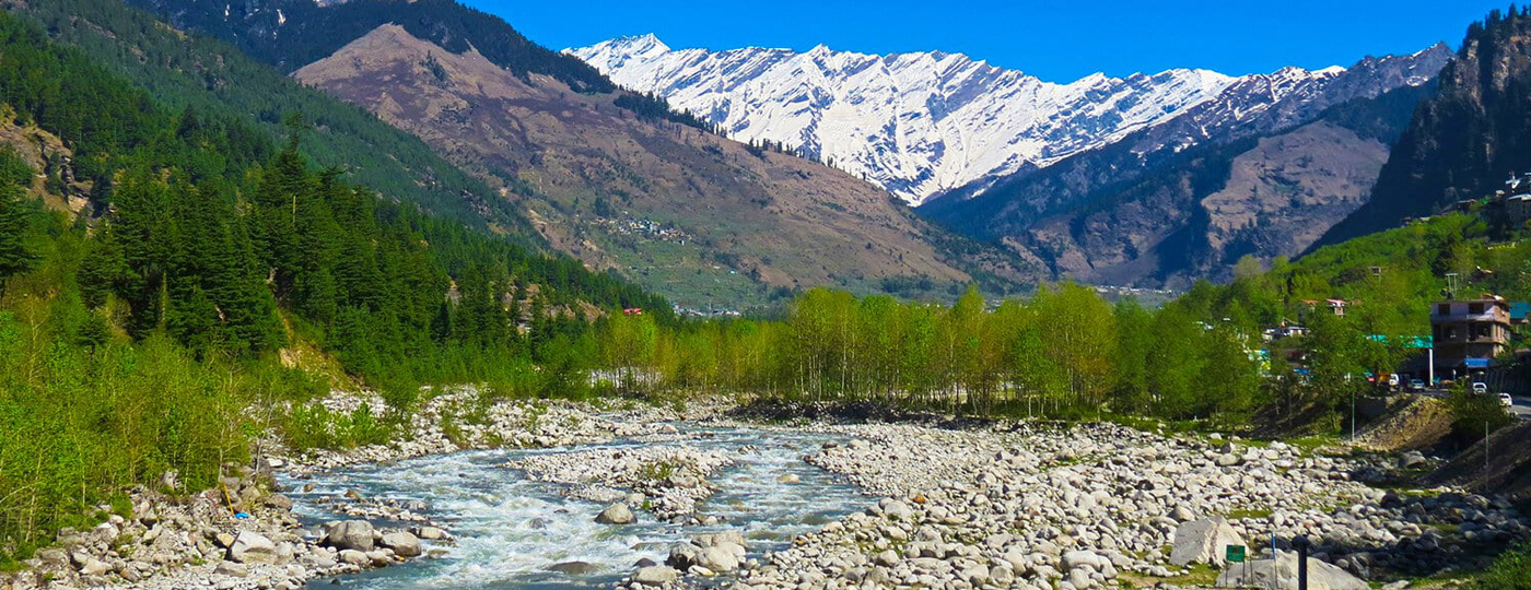 hotel woodstock inn manali