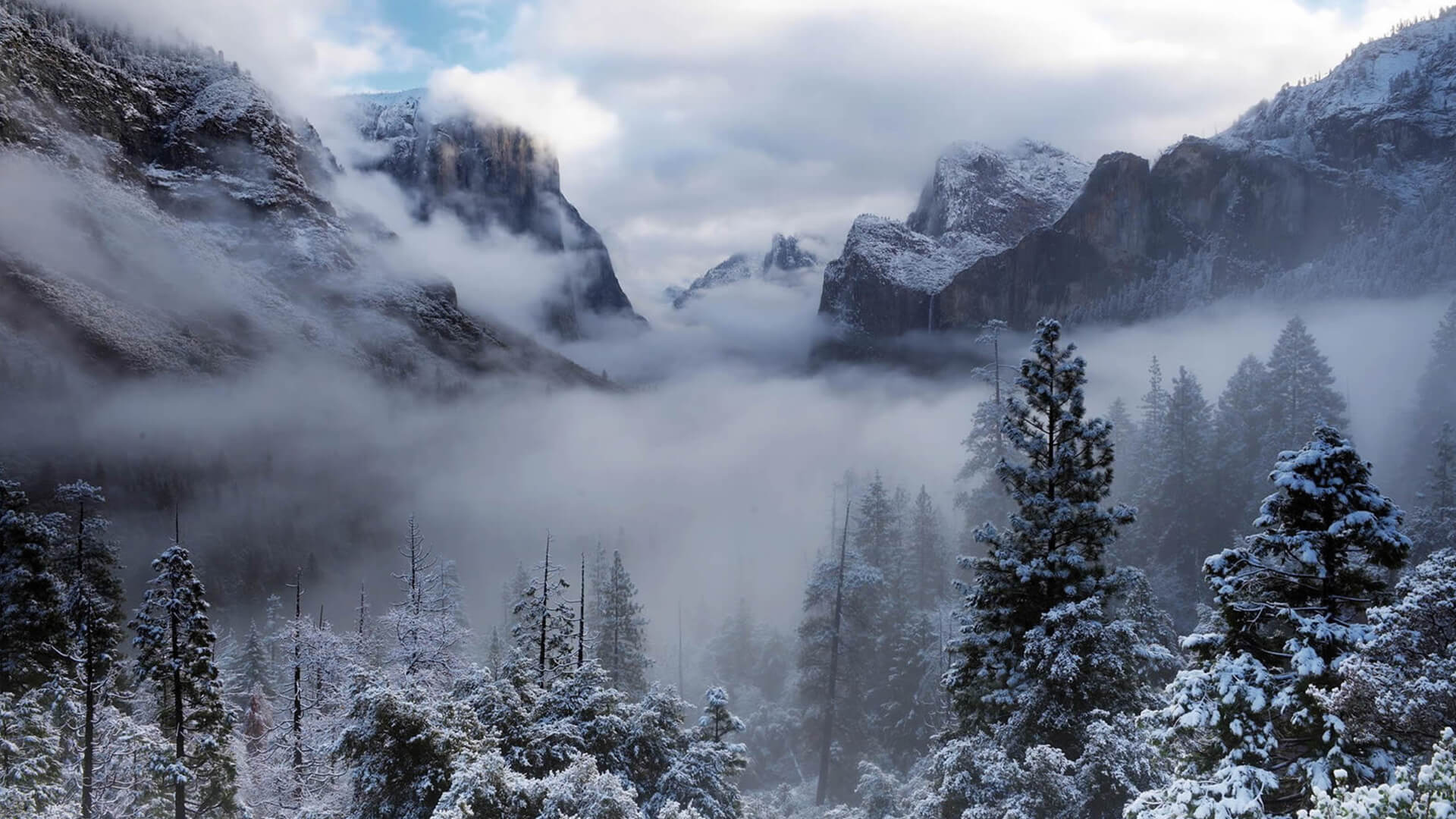 Woodstock Inn Manali slider